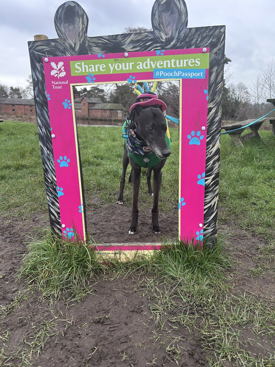 Duke 💙 tweet media