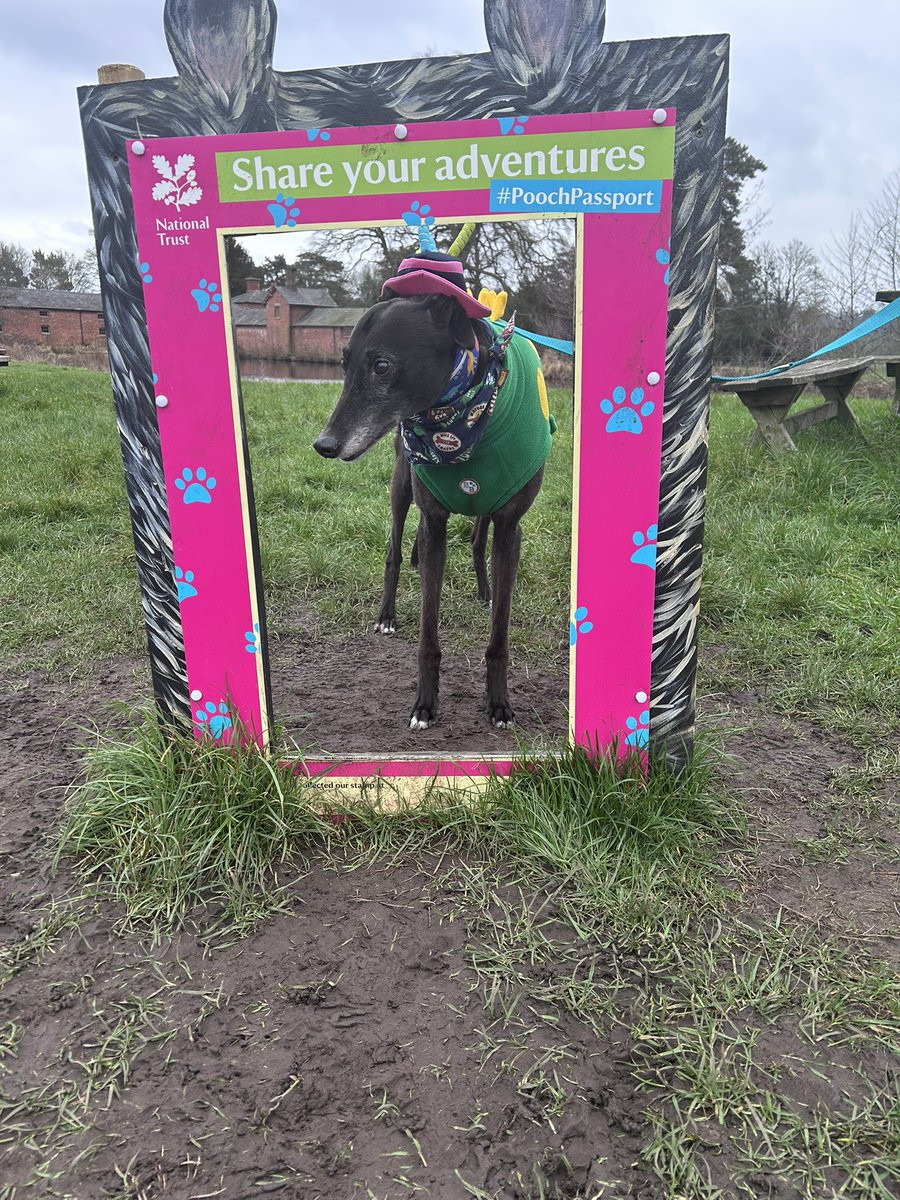 Duke 💙 tweet media