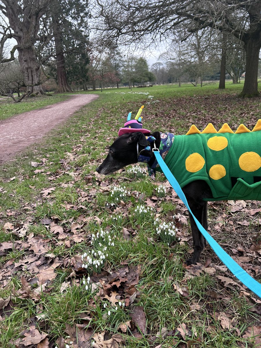 Duke 💙 tweet media