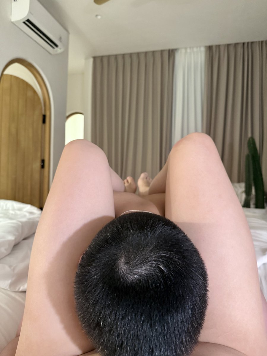 仿生云烧会梦见电子土豆吗 tweet media