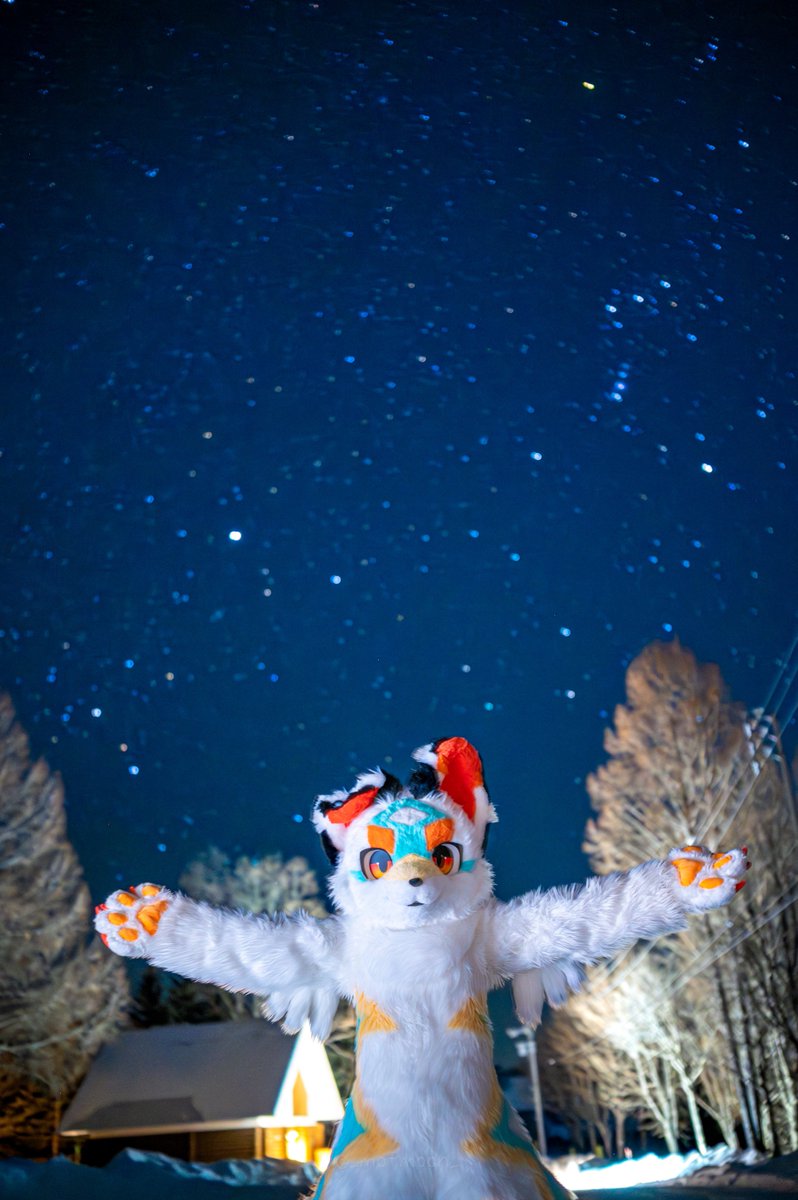 mofmoon🐈🐾 tweet media