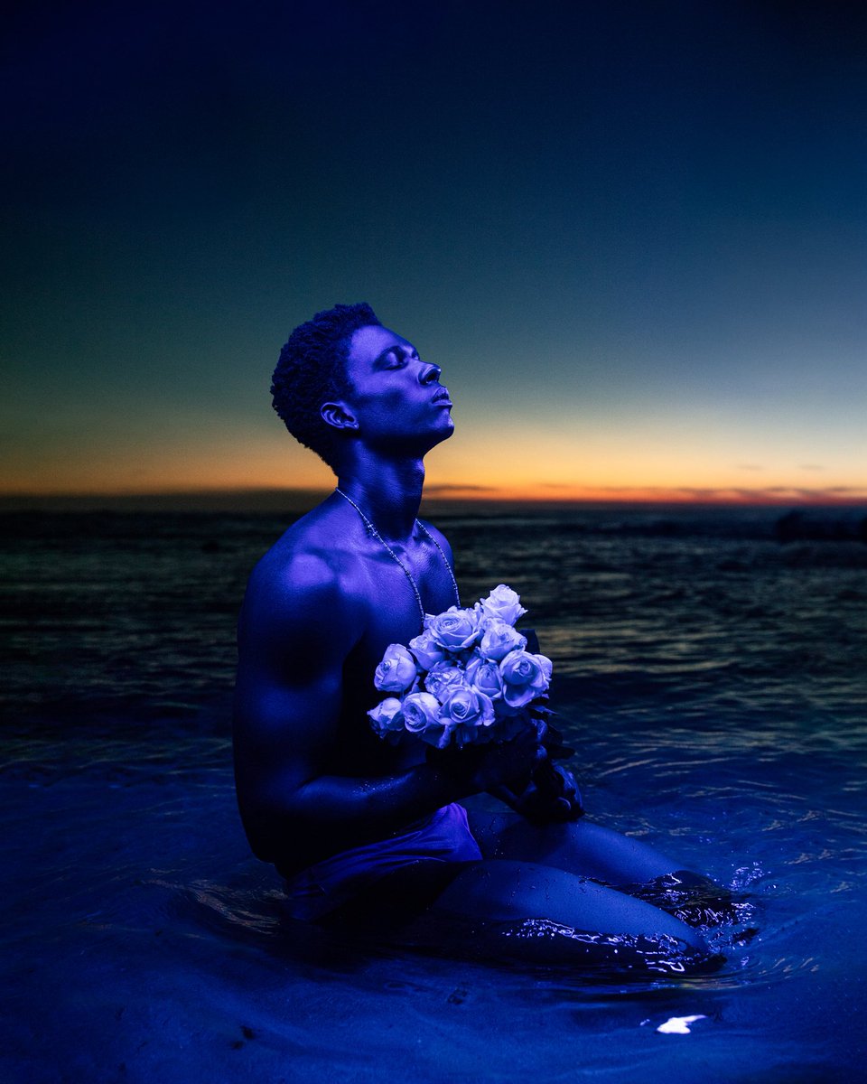 Dendezeiro tweet media