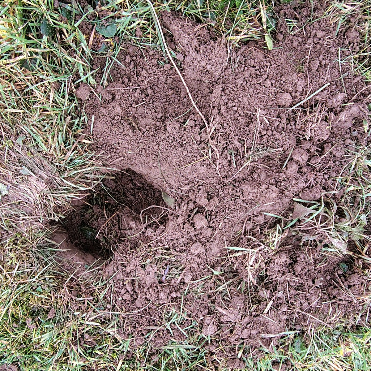 Mark Garrett tweet media