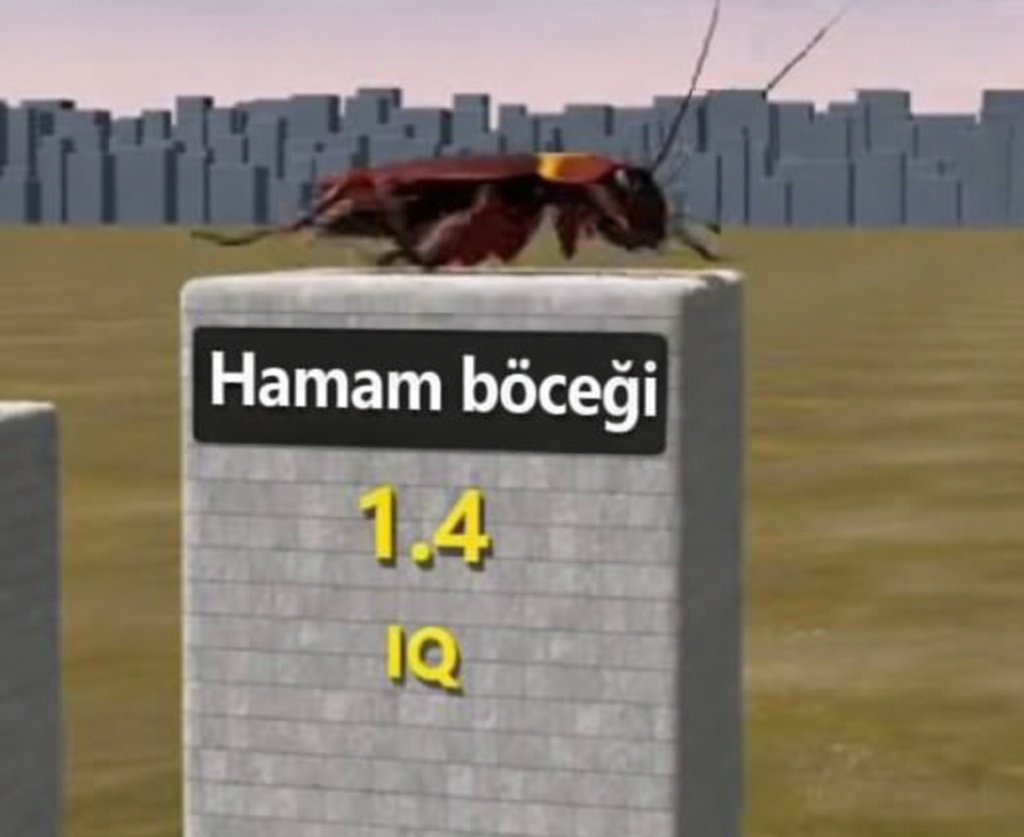 kadirDII's tweet photo. Epstein belgelerinde ismi geçmiyor diye birilerini övenlerin zeka https://t.co/m9uUeS5NRg