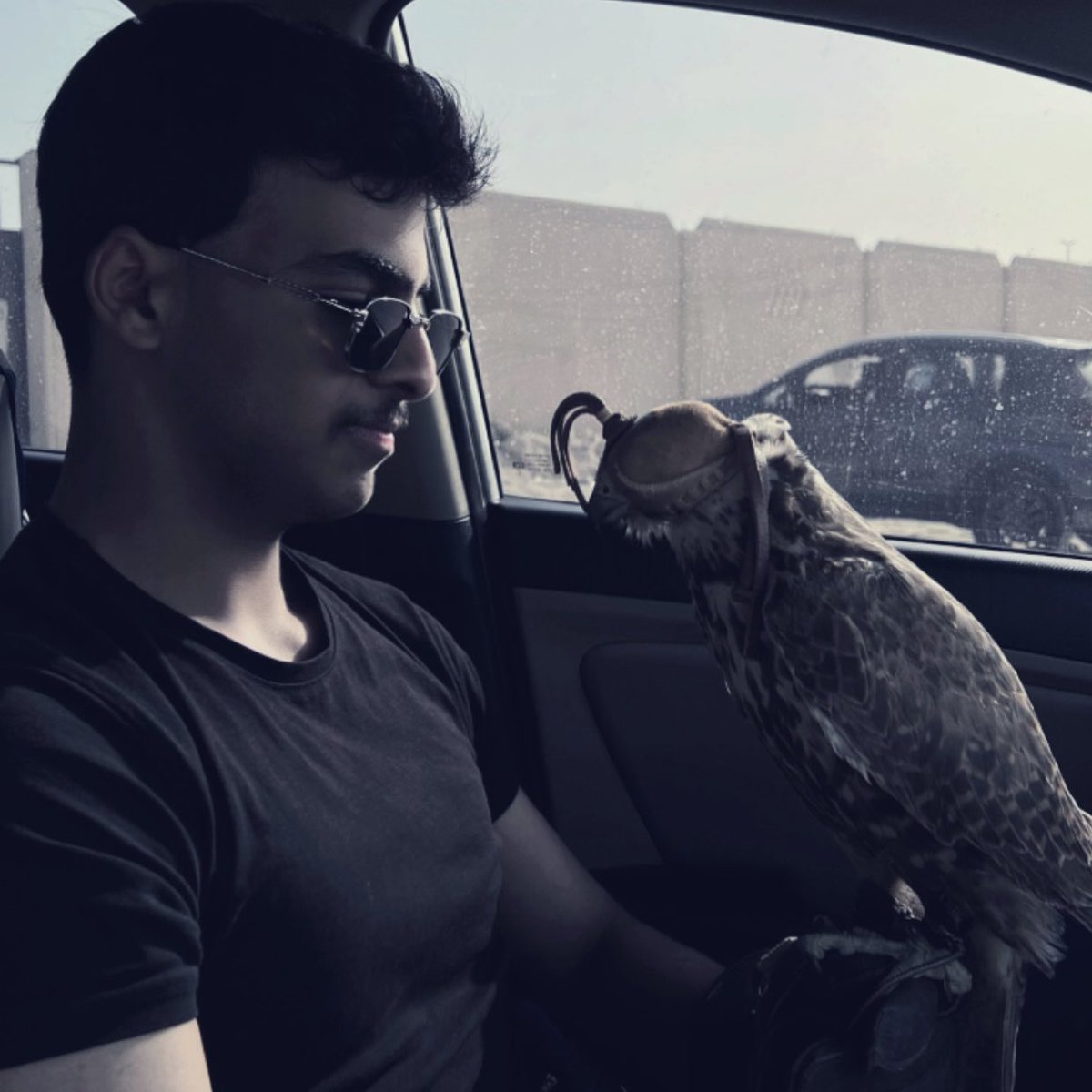 من يحب الخيل يطرب بالصهيل
ومن يحب الصقر " قايد مايقاد "