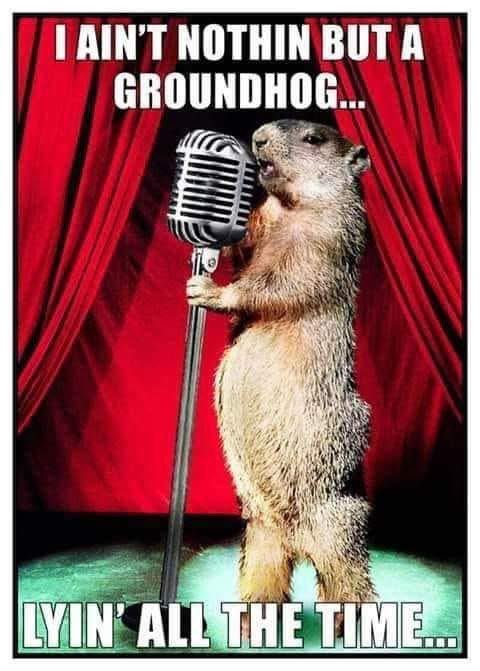 CanadaColonel's tweet image. There are several groundhogs across North America; split 50/50. Predicting early spring gets Scooby snacks; predicting more winter gets a shotgun 😳
#GroundhogDay #GroundhogDay2026
