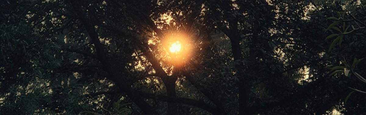 You’re like the
sun to me