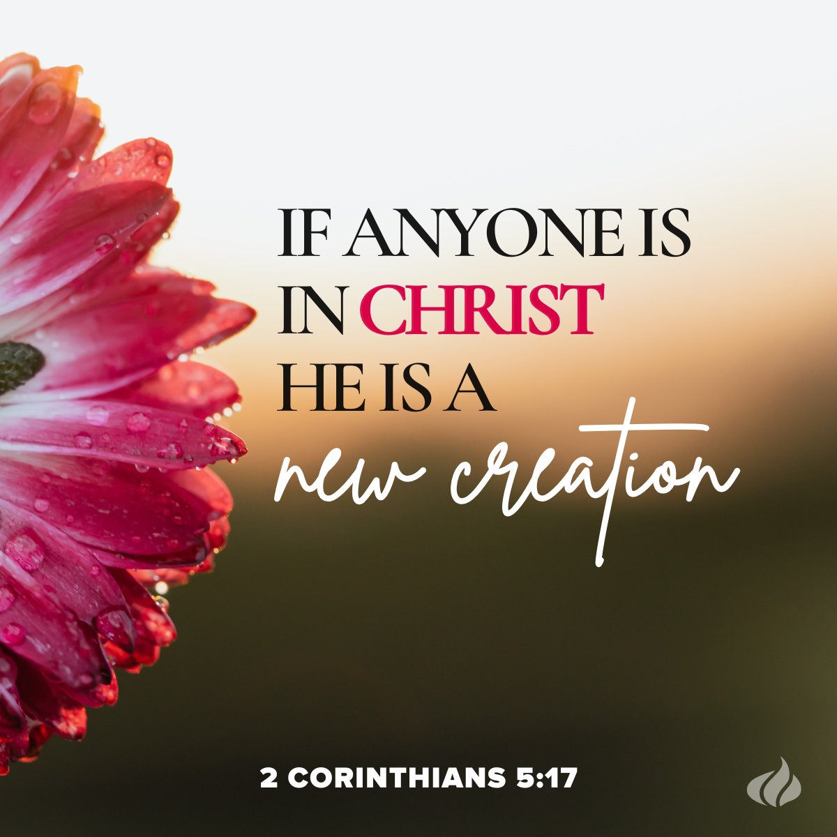 CBNOnline's tweet photo. God makes all things new - including YOU! 🌸
#madenew #newcreation #reminder #faith #nature #love #scripture #dailyencouragement #christian https://t.co/SvrbmxJvy7