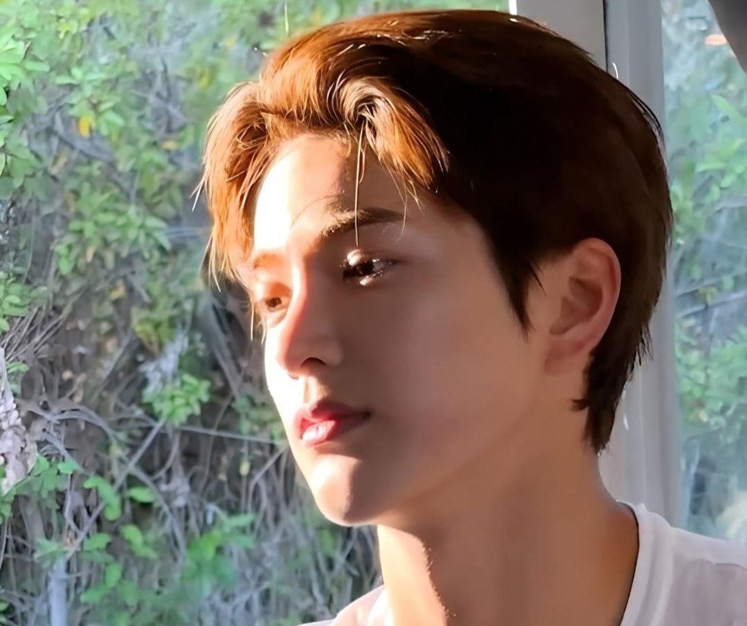 the sun is so blessed to shed light on thee ahn keonho