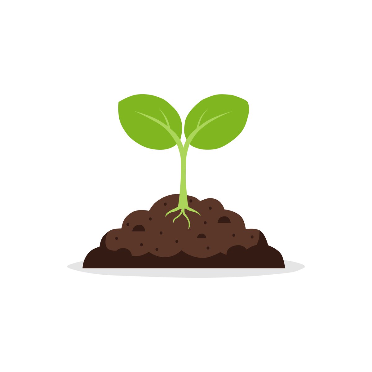 blesssed UI/UX tweet media