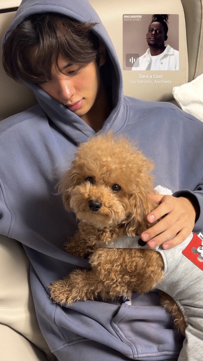 atbo archive tweet media