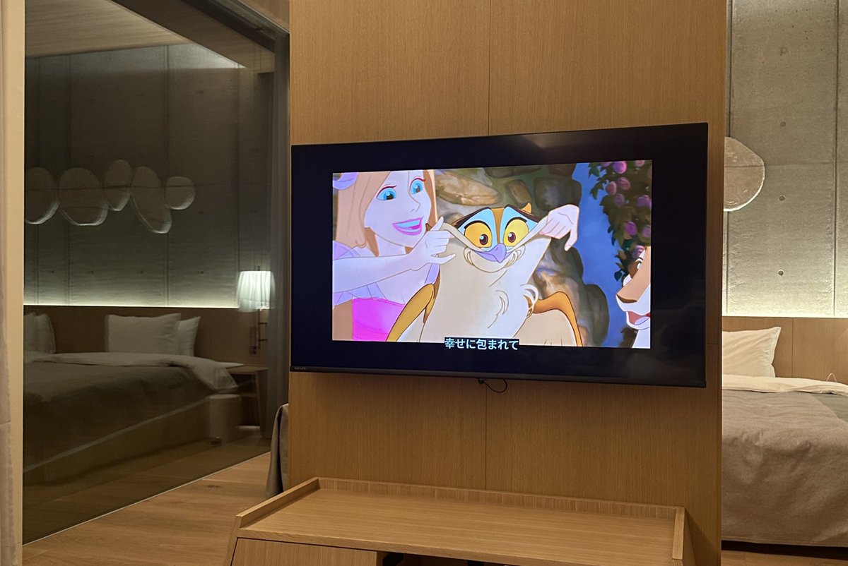 ₍ᐢ‥ᐢ₎ ♡ tweet media