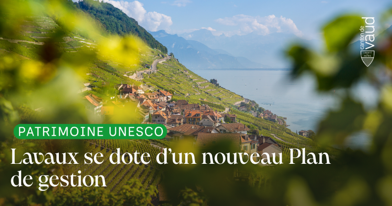 Etat de Vaud tweet media
