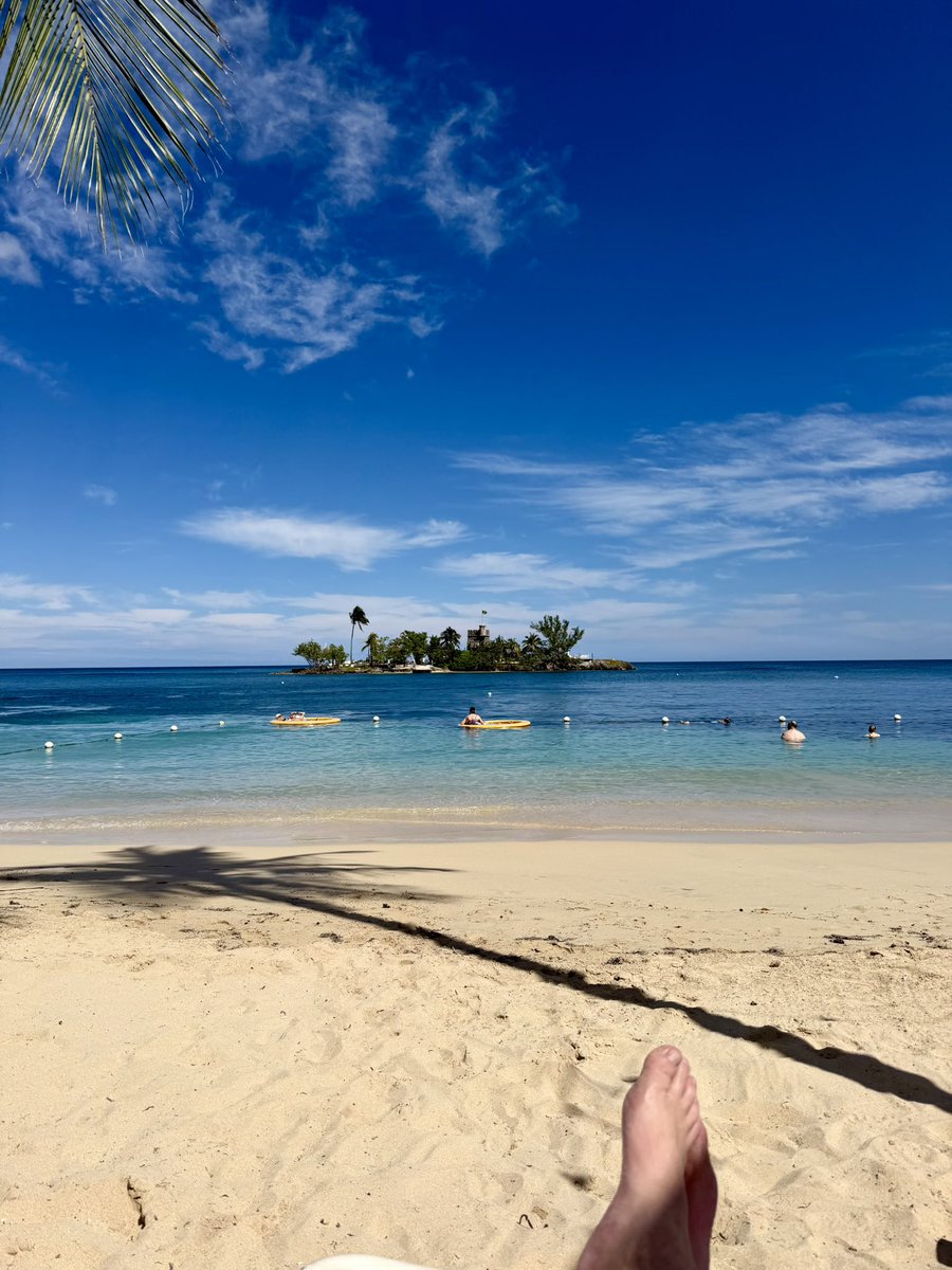 JLGrims's tweet photo. Hard reset in paradise. Year 42 off and rolling. 😎☀️🌊 https://t.co/ajkKyTxu7d