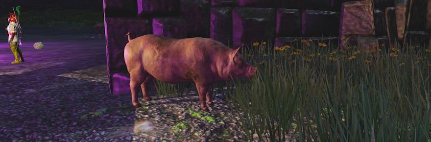 MassivelyOP tweet media