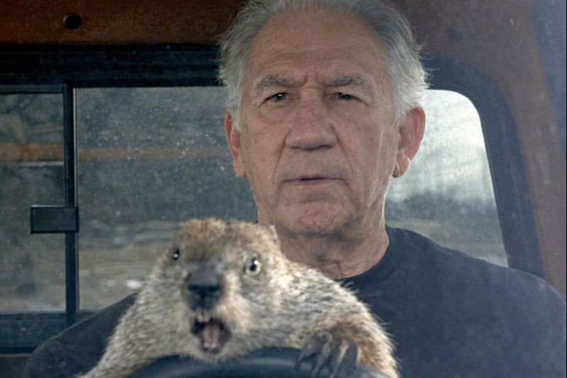 Gerald BRISCO 🤼‍♂️ tweet media