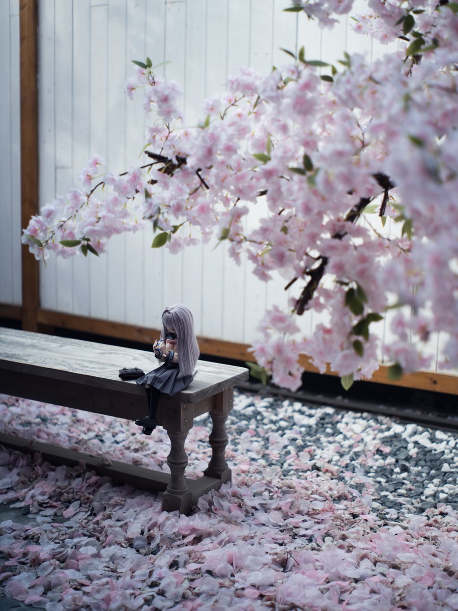 🌸🌸🧃

 #わにわっ娘🐊