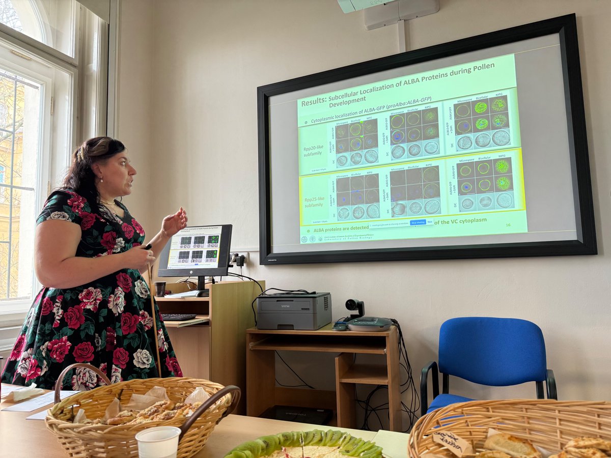 David Honys tweet media