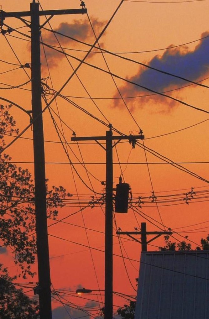 Lisa1fiddler's tweet image. #応援 草 🐯