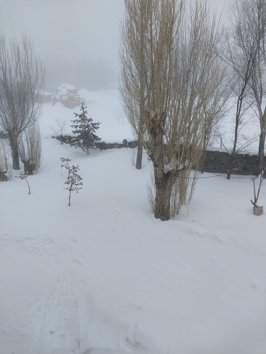 Bugün, temizlik günümüz. Bu havada bana balkondan halı silkeleten tek güç: "Temizlik imandan gelir." Sözü.