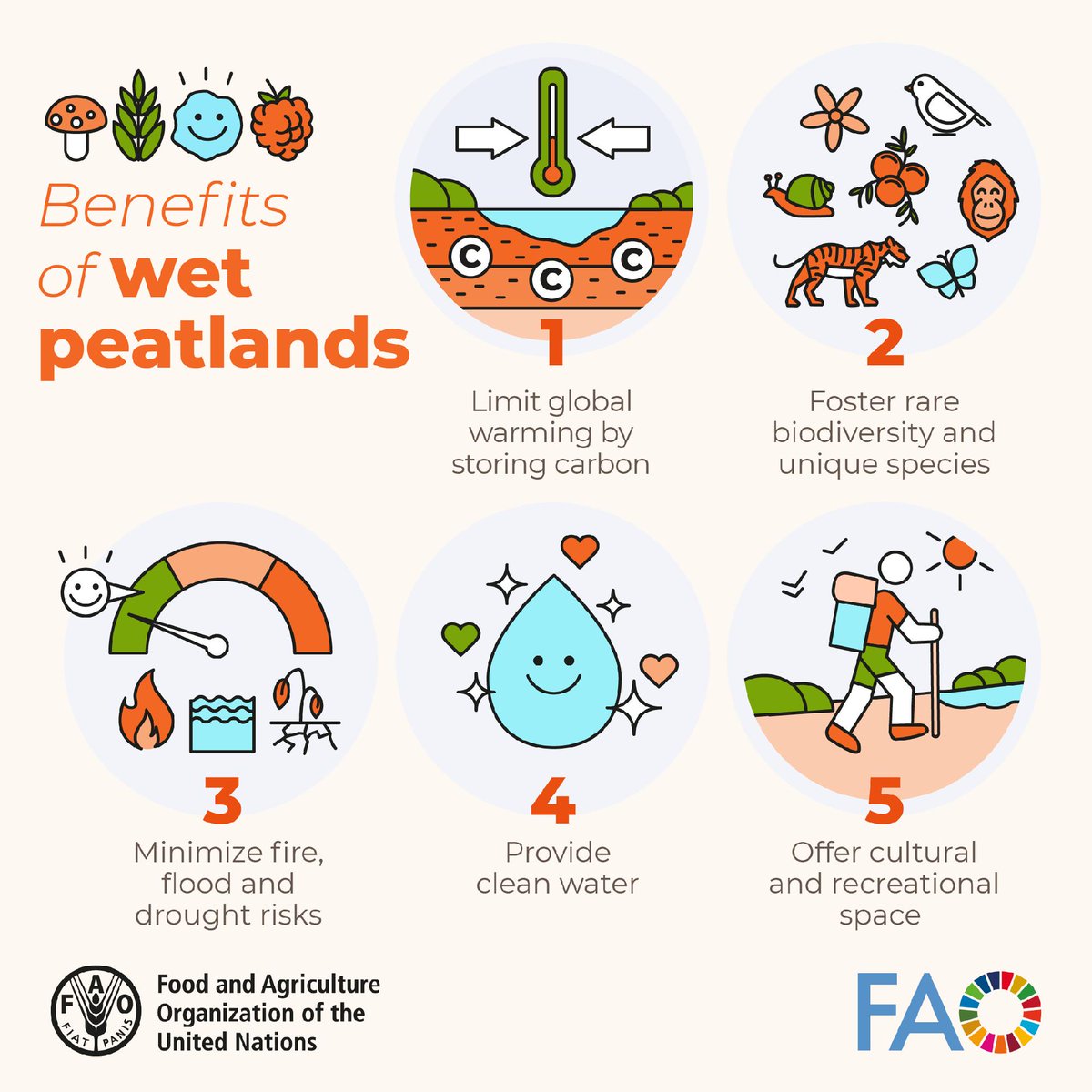 Food and Agriculture Organization tweet media