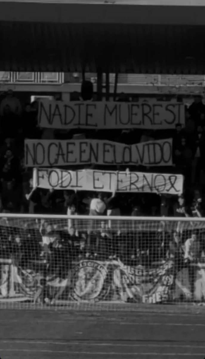 TALAVERA 𝕳 tweet media