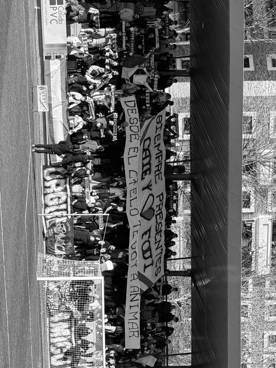 TALAVERA 𝕳 tweet media