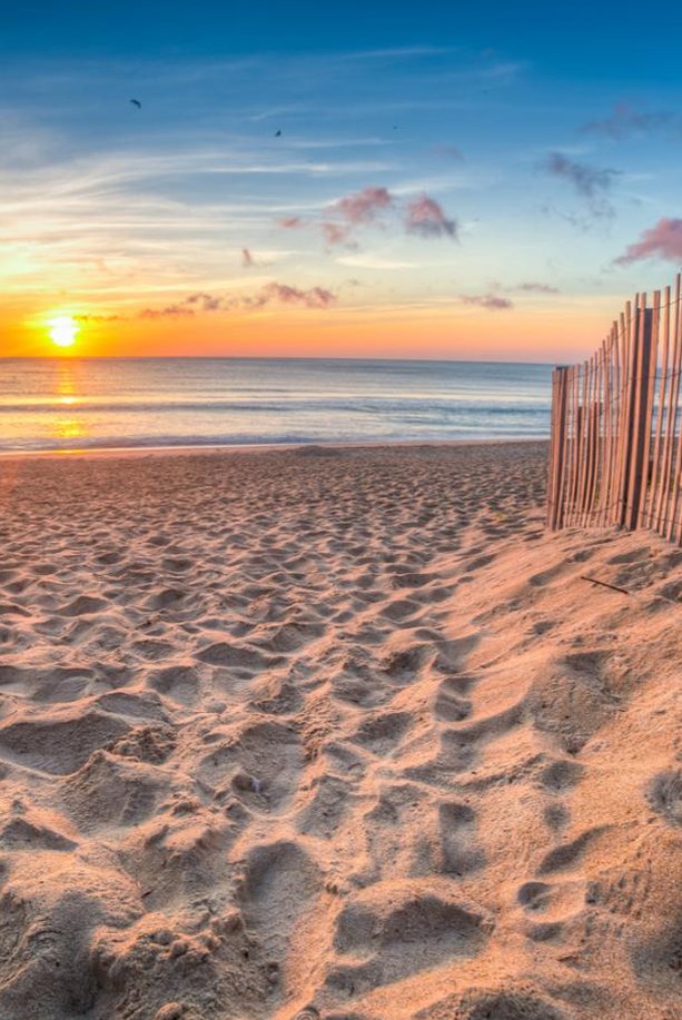 Profdamata's tweet image. かなり寂しいの 😲