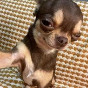 wingzel's tweet image. 国でいる 😘