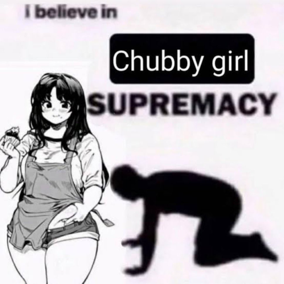 Todo dia uma gordinha tweet media