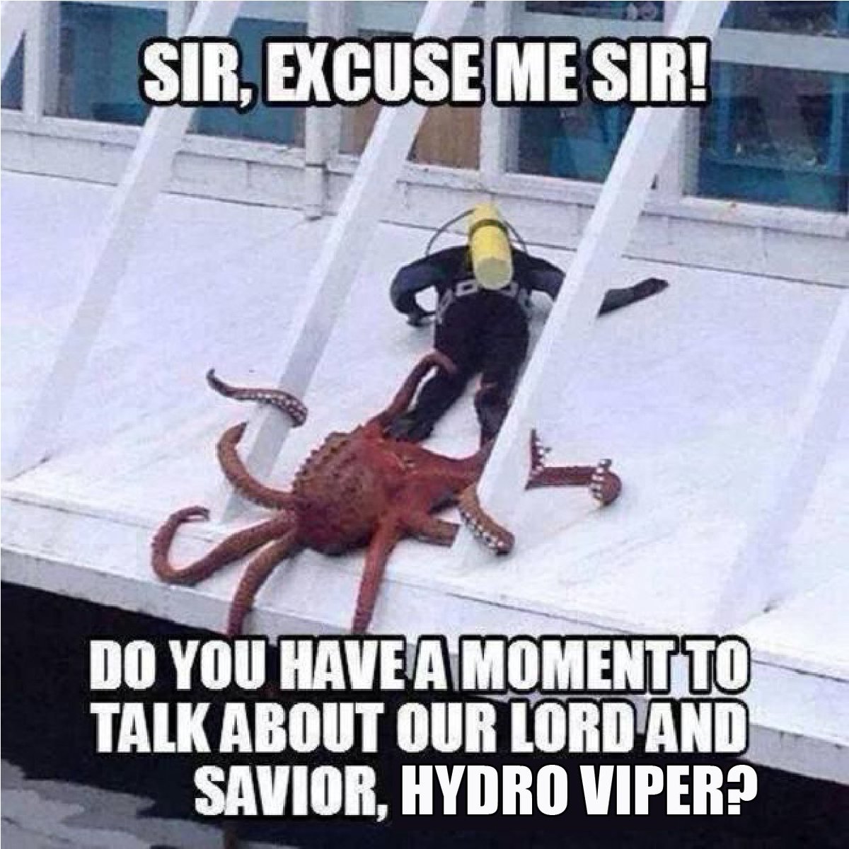 XnegativeX's tweet image. 