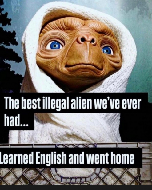 SaltyGoat tweet media