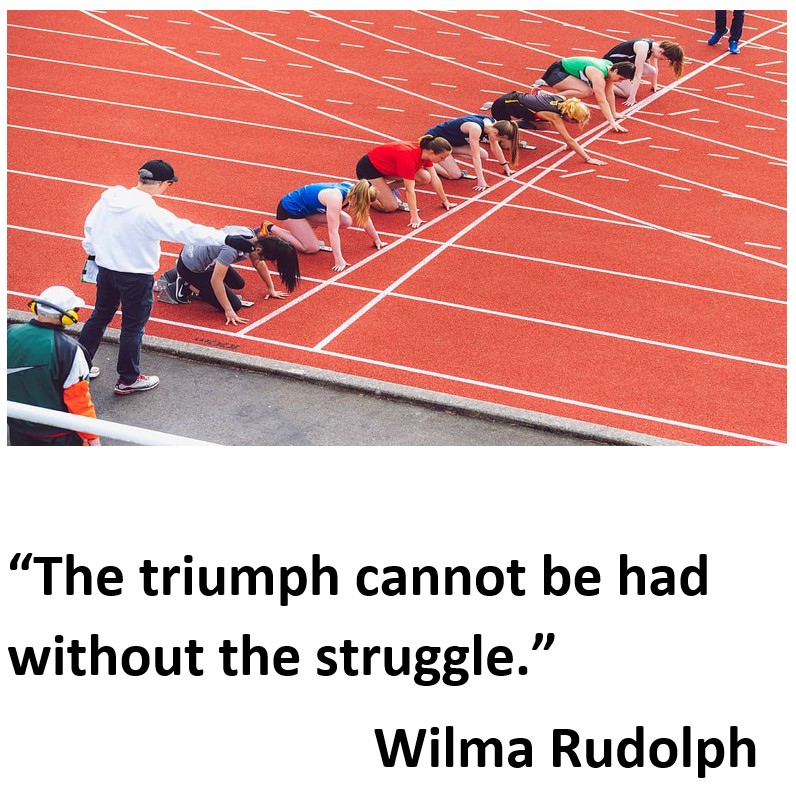 Muncie Community Schools tweet media