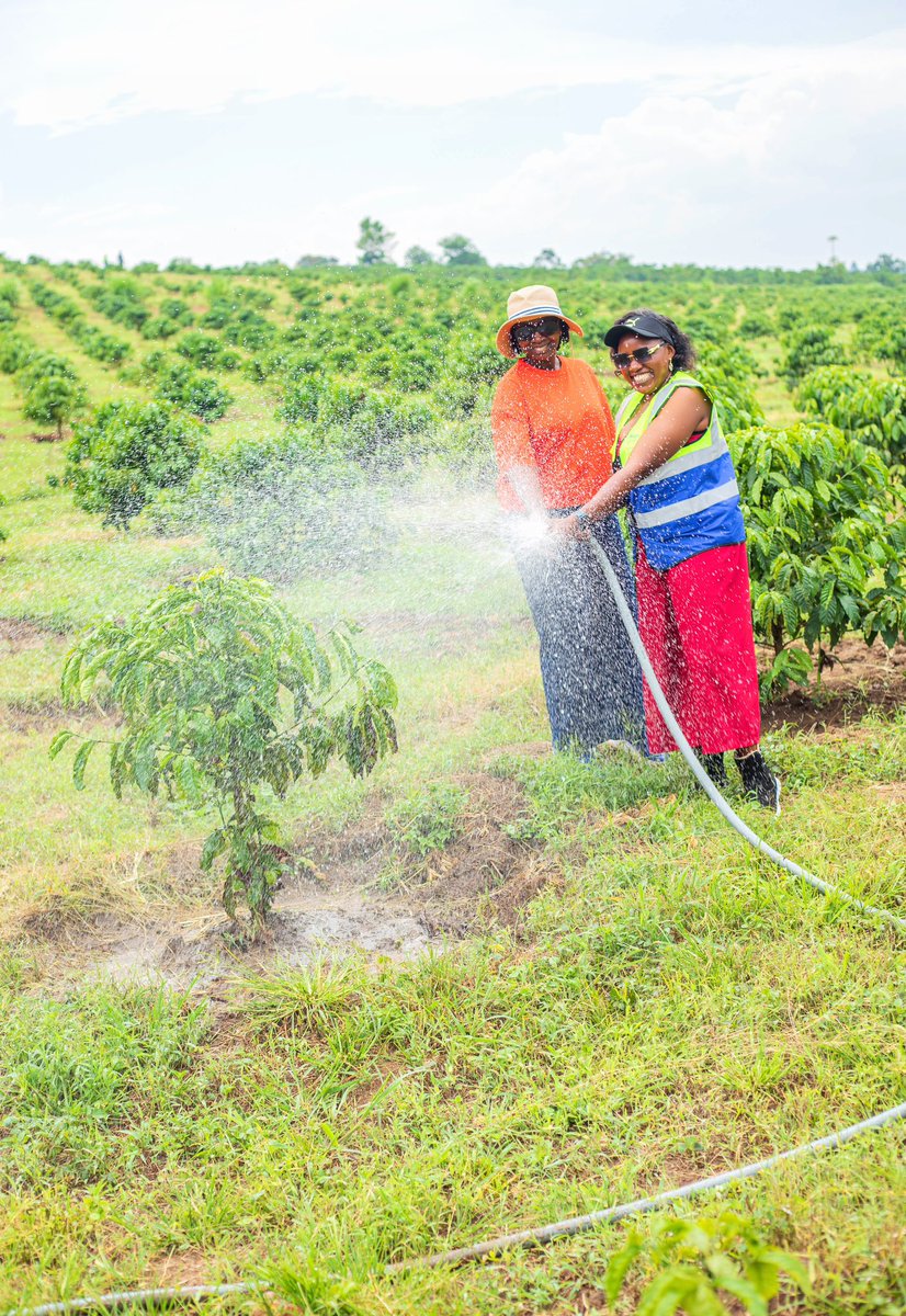 Rotary Club of Upper Kololo tweet media