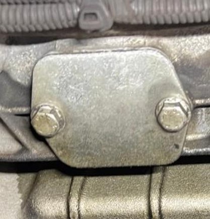 PrivEms's tweet image. 目は素晴らしいです 🦉