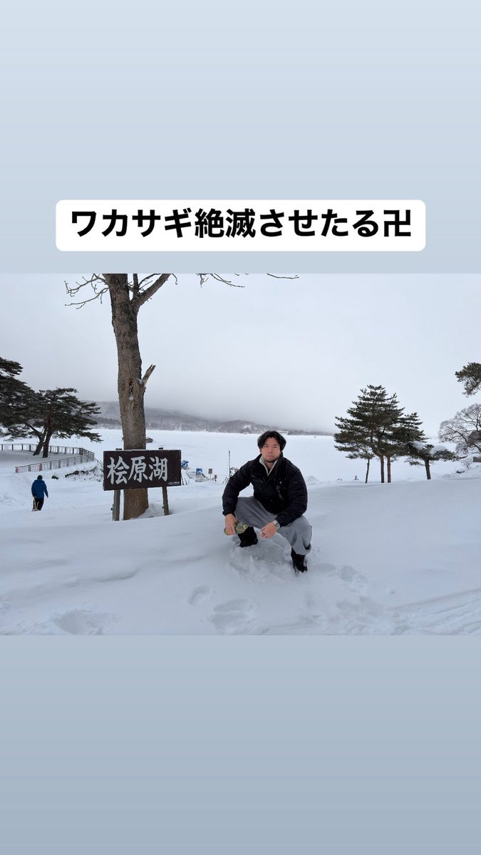 Taro Mano tweet media