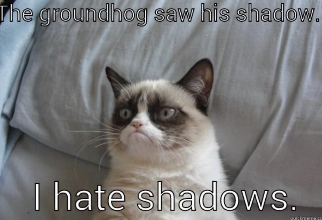 Sooooo the groundhog saw his shadow.