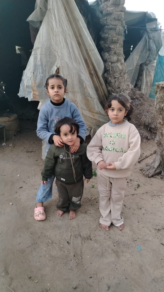 moatasimGaza's tweet image. In the cold tents, my children Ahlam and Saba are living an unbearable struggle, lacking food and warm clothing, while my child Jameel faces chronic illness with the patience of a child worn down by pain and the lack of treatment🥺.
Do they not deserve help?💔
They are asking for…