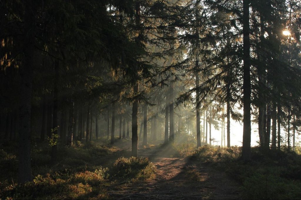 inreuo's tweet image. 