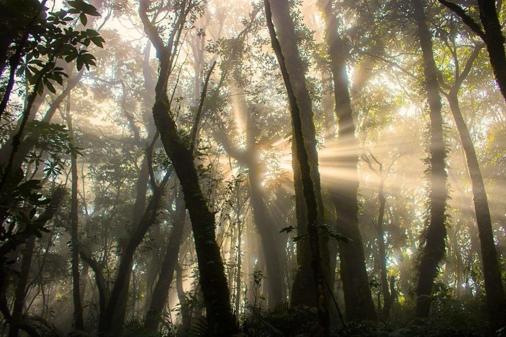 inreuo's tweet image. 