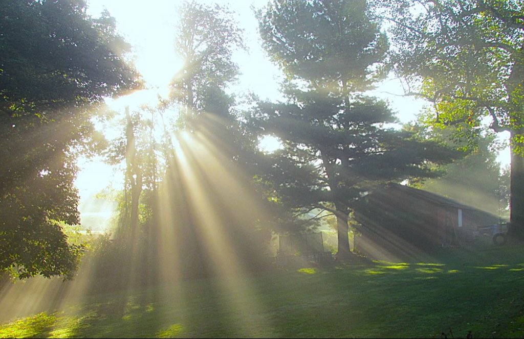 inreuo's tweet image. 