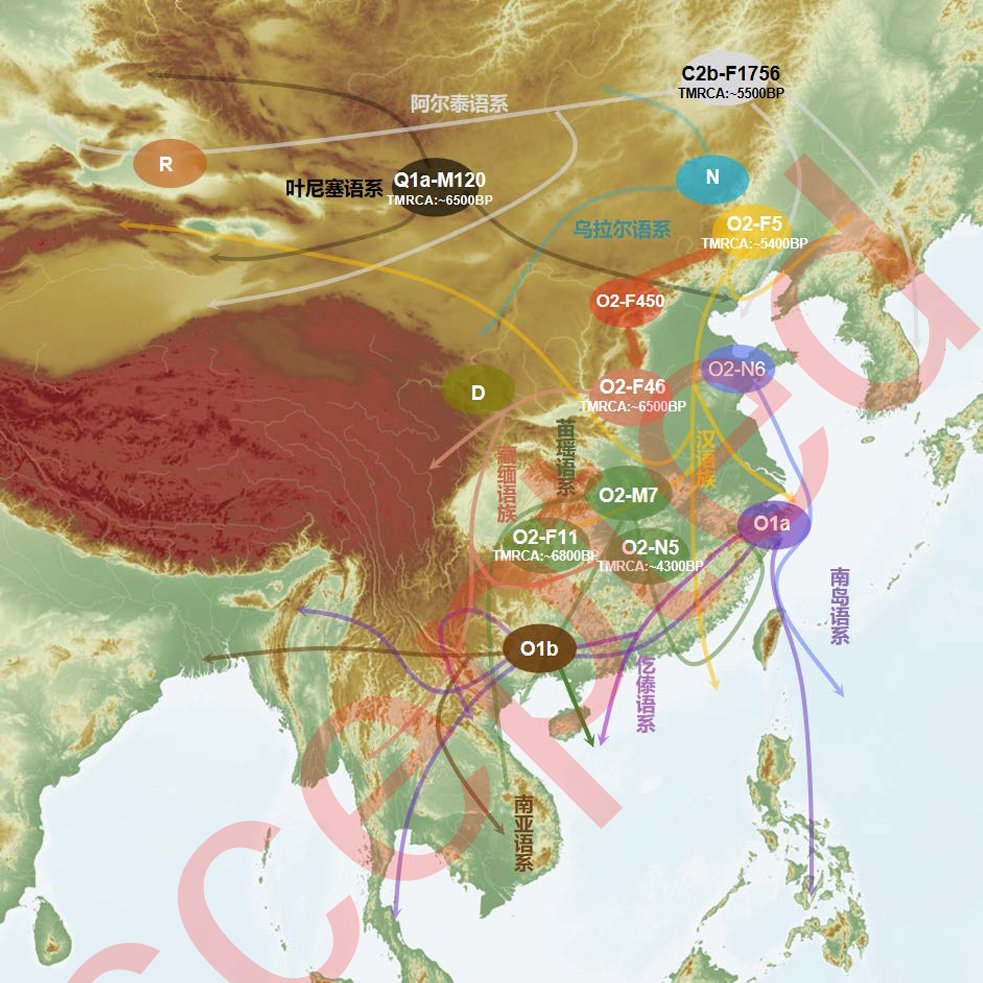 Decimal /でしまる tweet media
