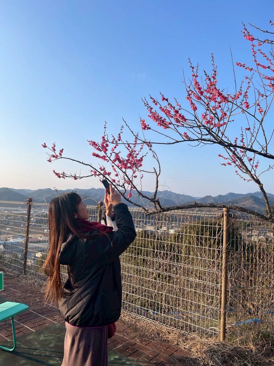 Okanbaiku's tweet photo. 夕方~南部梅林へ🌸
初の歩きコース🤗
何年か前に🏍で行ったコースを思い出して楽しかった🤭
かたやまの芋もちは残念ながら売り切れ💦
でも梅の花と白梅干し100円で買えた~🎶
ファイターさんオススメの鶴の湯温泉♨️も行けてお肌ツルツル~✨
今日 
笑って癒されて免疫力アップ🫶
人生はこれから︎︎👍🏻😉 https://t.co/4oQDTLtnD9