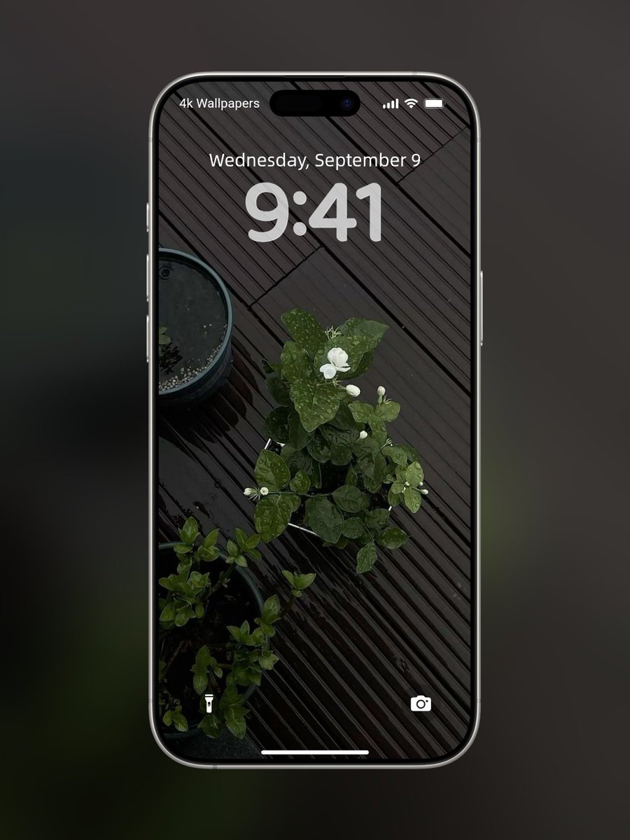 wmaa95's tweet photo. 📱 Home Screen &amp; Lock Screen #Wallpapers https://t.co/7xlYkZZ4Tp