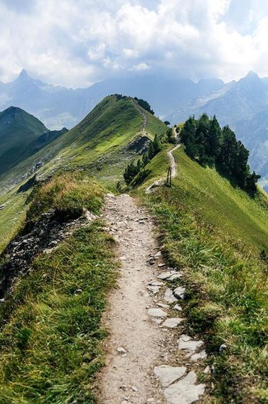 eoncup's tweet image. 本に住む 🏩