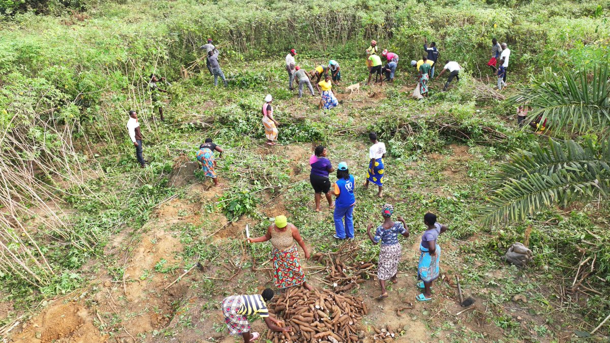 WFP Liberia tweet media