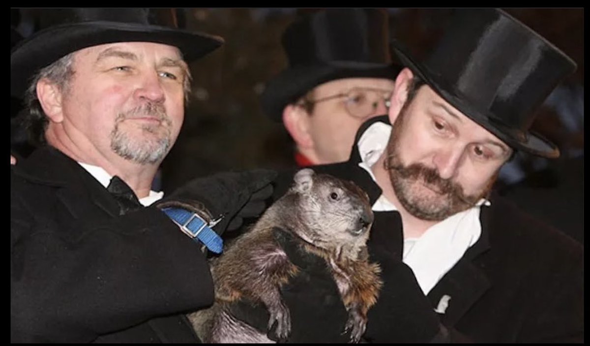 Gary A. Petko tweet media