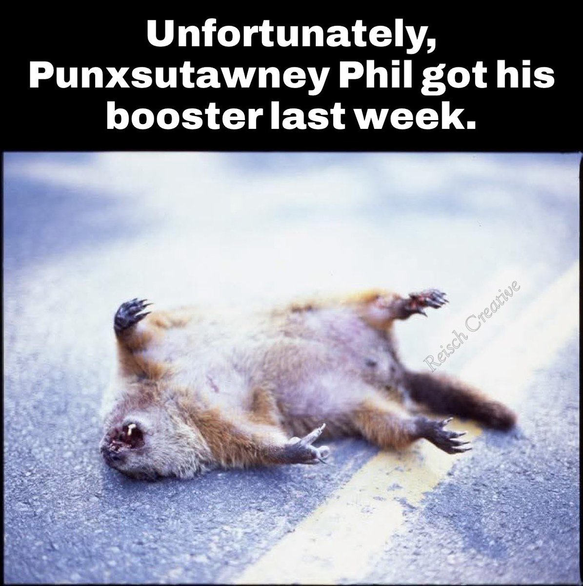 KindJenForTruth's tweet photo. I had to make this meme. That being said, prayers being sent out to everyone who has been affected by this poison. I’ve lost two of my best friends. I make comedy from tragedy. Humor can softly make the point that statistics will never make to those who are in denial. 🙏✝️ https://t.co/qth6HeQJsz