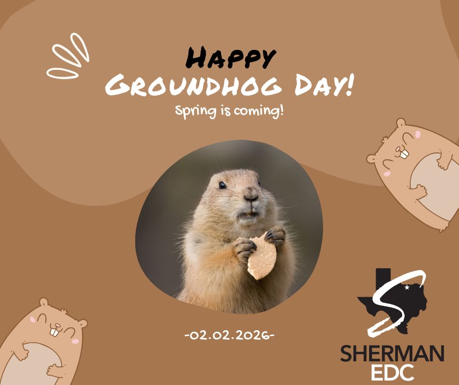 ShermanEDC's tweet image. Shadow or no shadow, progress in Sherman keeps moving. SEDCO stays focused on long term growth and opportunity year round.
#GroundhogDay #TeamSherman #econdev