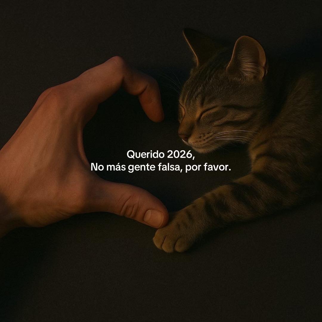 BANDIDOS (@bandidosfrasess) on Twitter photo 